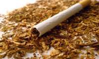 مجوز عرضه‌کنندگان متخلف دخانیات باطل شود