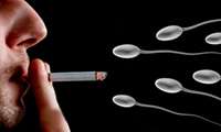 مردان سیگاری، کودکان آینده خود را تحت تاثیر قرار می‌دهند