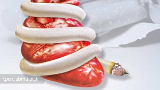 آسیب سیگار به سرخرگ، 