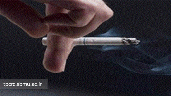 رابطه اوتيسم با سيگاركشيدن مادربزرگها، 