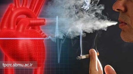 دخانيات و سرخرگ نوجوانان، 