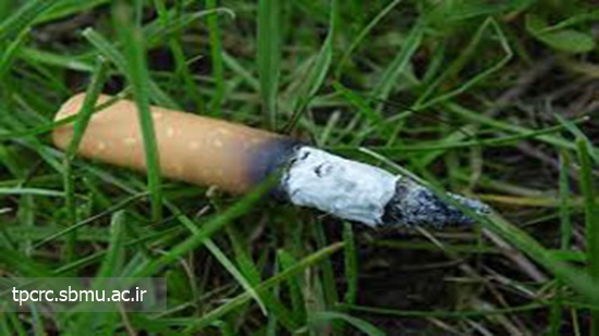 ته سيگار و طبيعت، 