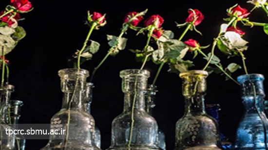 هیچ رسته شغلی به نام قلیانسرا وجود ندارد، 