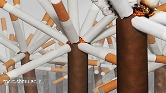 ته سیگار و گیاهان، 