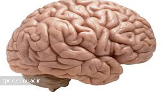 پيري زودرس مغز، 