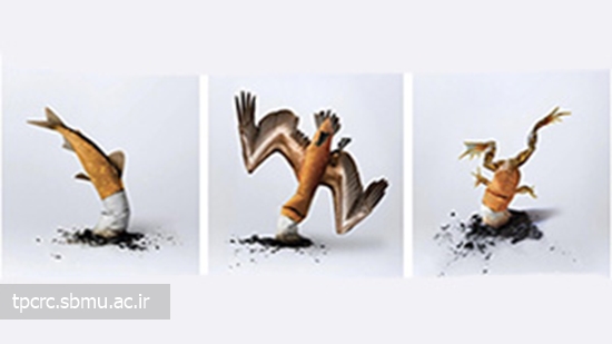 نه سيگار و محيط زيست، 