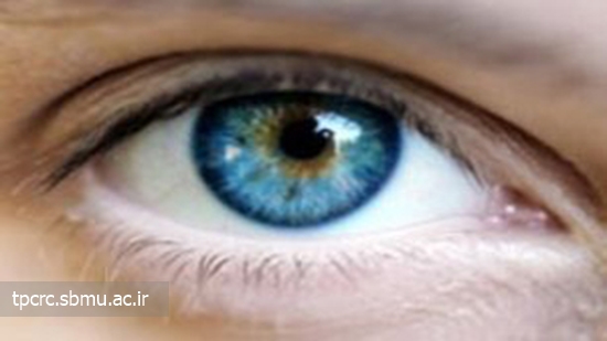 تأثير دود سيگار بر چشم، 