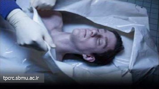 مرگ و مير توسط سيگار در آلمان، 