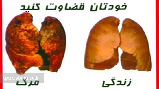 هشدارهاي تصويري 