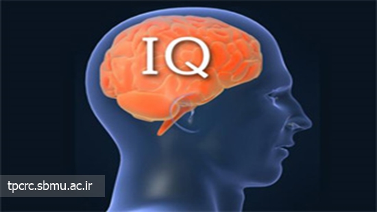 سيگار و IQ، 