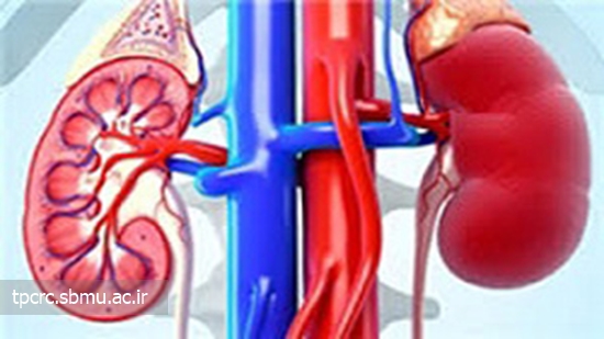 سیگار مانع اثربخشی دارو‌های کلیه 
