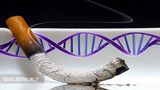 عوارض سيگار كشيدن، 