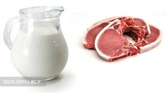 همايش سيگار، 