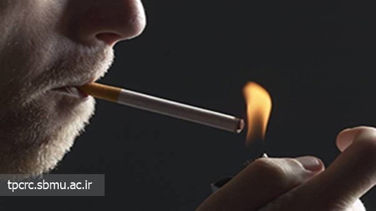 معرض دود سیگار، 