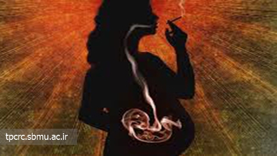 سيگار و جنين، 