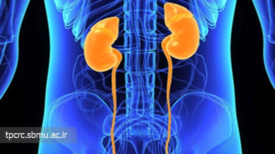 کودکان مادران سیگاری مشکل کلیوی پیدا می‌کنند 