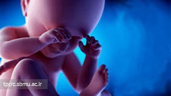 نومور مغزي جنين، 