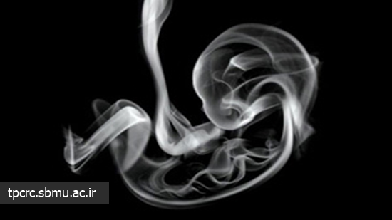 سيگار و كاهش باروري، 