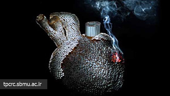 آسيب سيگار به قلب، 