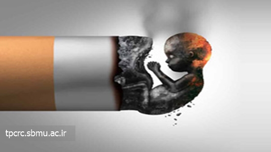 ناباروري و دخانيات، 