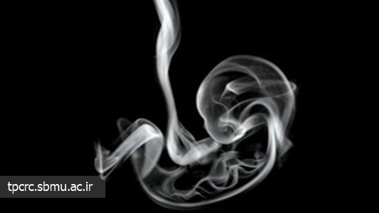سيگار و بلوغ زودرس جنين، 