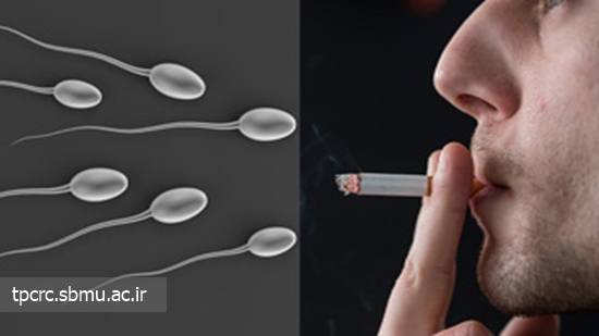 سيگار و ناباروري، 