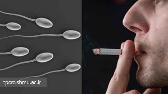 اختلال مصرف سيگار در ژن انسان، 