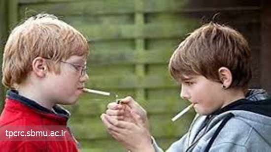 سيگار و قليان، 