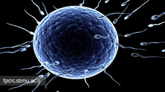 تأثير سيگار بر كيفيت اسپرم 